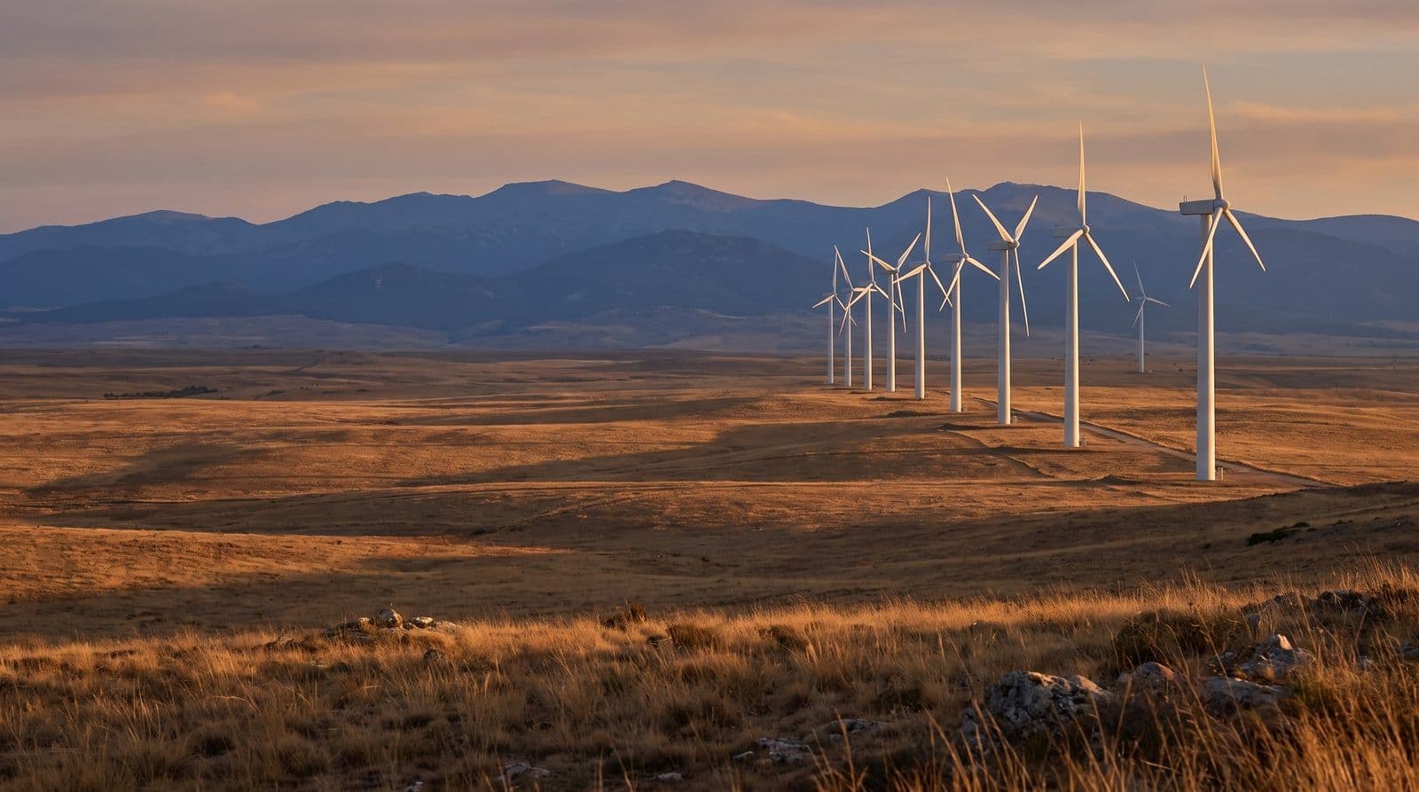 Aerogeneradores blancos alineados en una meseta castellana al amanecer, con luz dorada rasante sobre el pasto seco y montañas al fondo